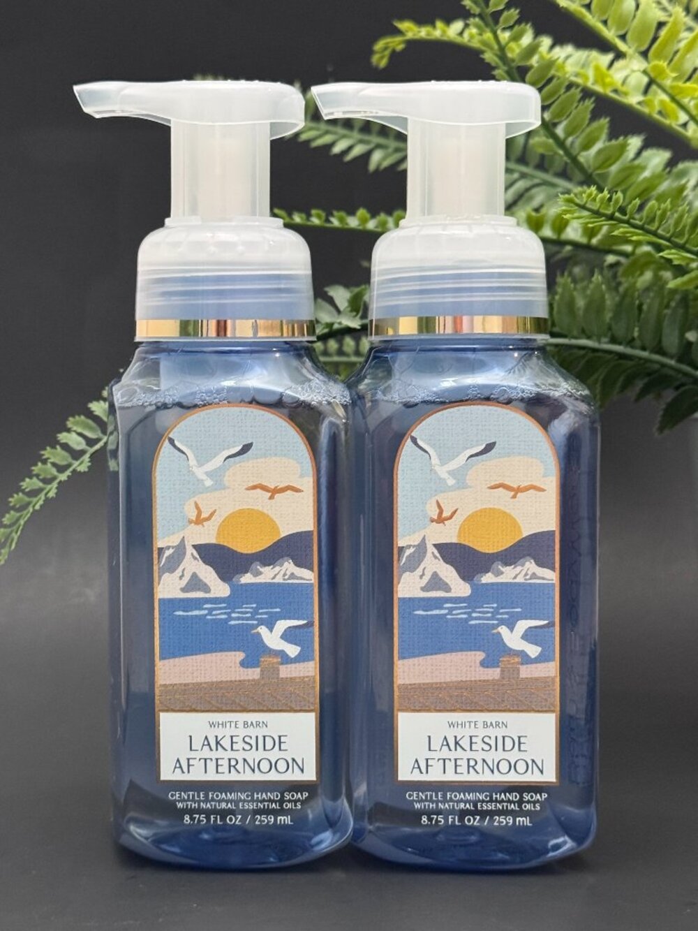 Bath & Body Works BBW White Barn Lakeside Afternoon Gentle Foaming Hand Soaps X2